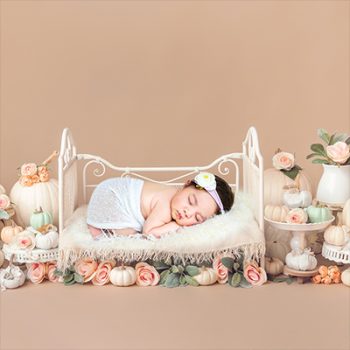 Newborn Baby Photo